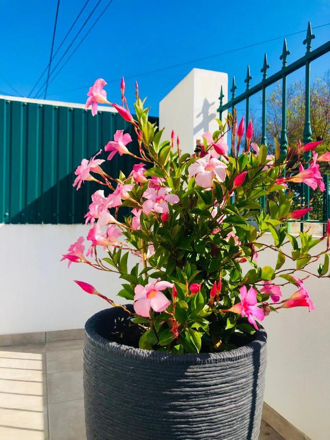 Casa Patio Country House Enxara do Bispo Εξωτερικό φωτογραφία