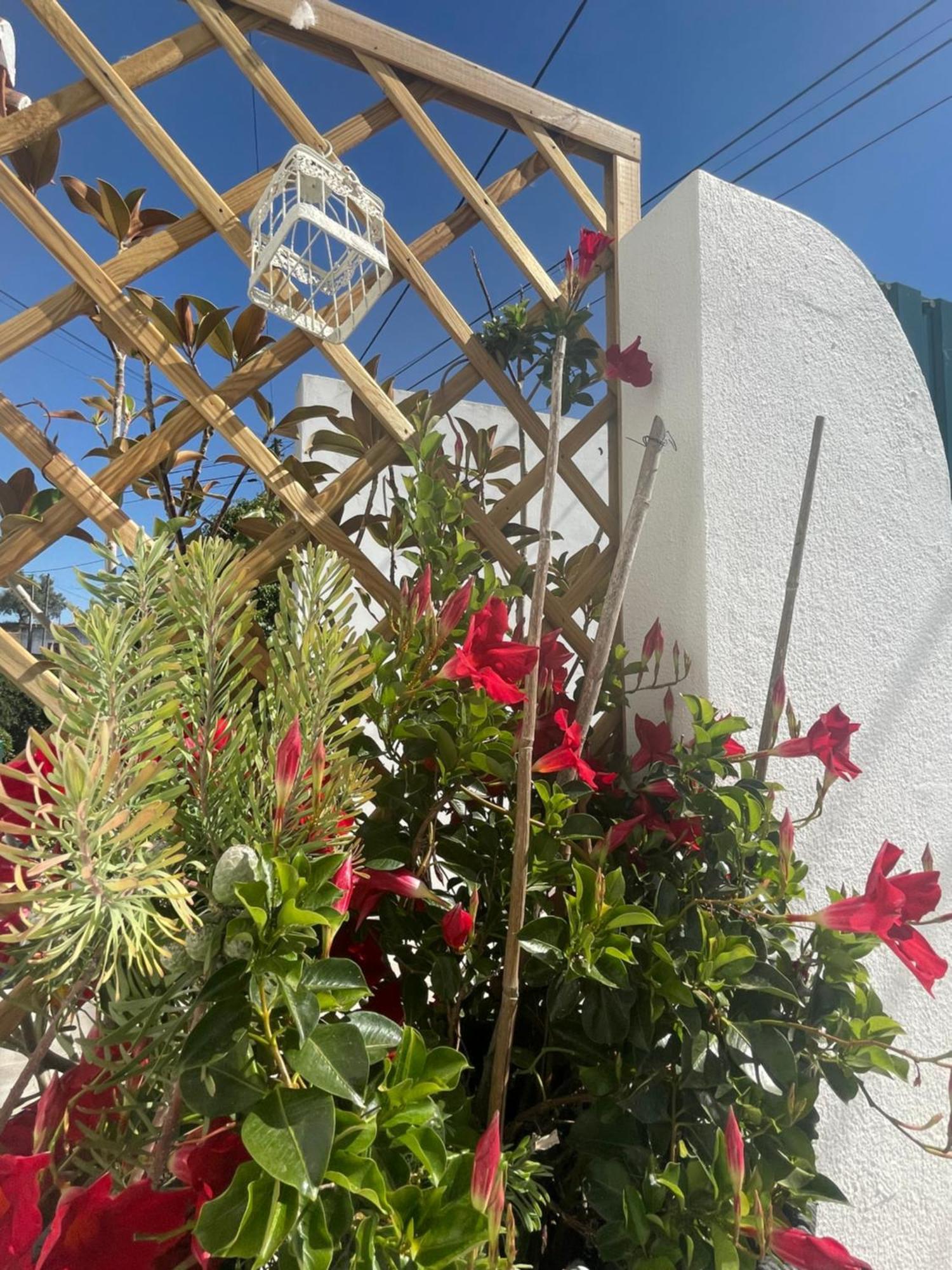 Casa Patio Country House Enxara do Bispo Εξωτερικό φωτογραφία